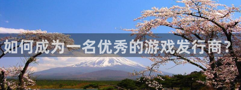 db电竞官网登录注册失败怎么回事：如何成为一名优秀的游戏发行商？