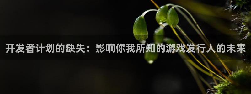 db电竞官网官网注册账号密码：开发者计划的缺失：影响你我所知的游戏发行人的未来