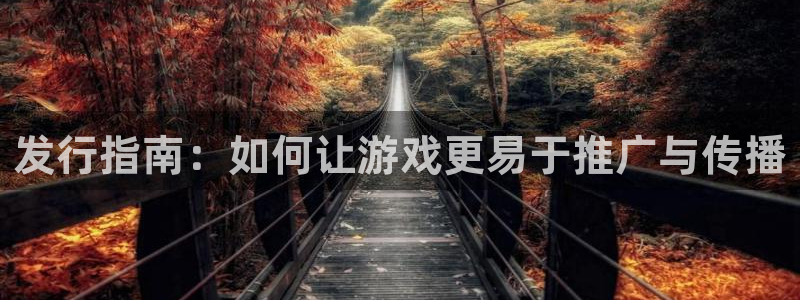 db电竞集团是什么企业：发行指南：如何让游戏更易于推广与传播