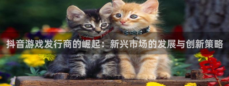db电竞官网游戏怎么注册：抖音游戏发行商的崛起：新兴市场的发展与创新策略