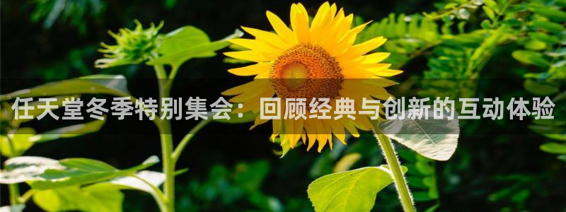 db电竞官网注册方法是什么软件：任天堂冬季特别集会：回顾经典与创新的互动体验