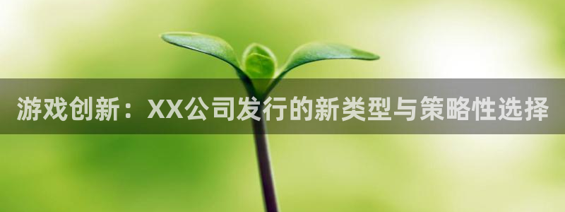 db电竞电子商务有限公司怎么样