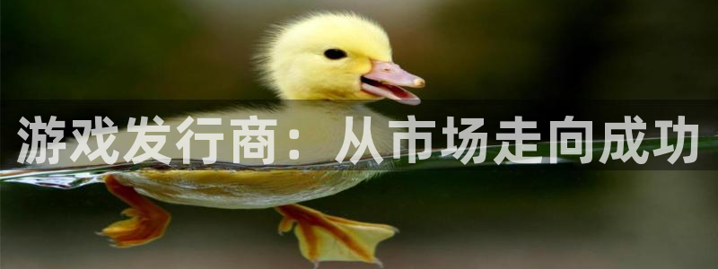 db电竞子公司怎么样可靠吗：游戏发行商：从市场走向成功