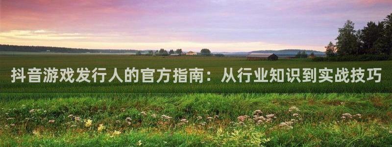 db电竞智得官网：抖音游戏发行人的官方指南：从行业知识到实战技巧