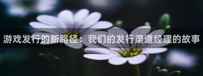 db电竞户外：游戏发行的新路径：我们的发行渠道经理的故事