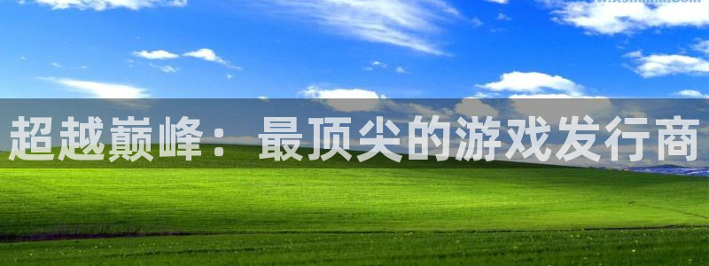 db电竞电商怎么样可靠吗：超越巅峰：最顶尖的游戏发行商