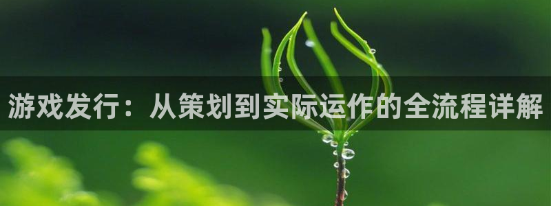 db电竞lvnces是什么档次