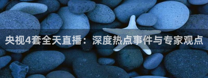 360体育在线雨燕直播