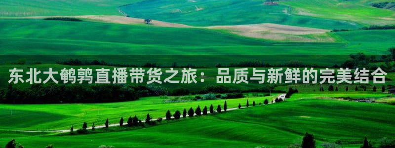 360直播无插件免费观看nba