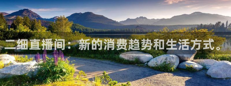 360直播无插件高清直播nba