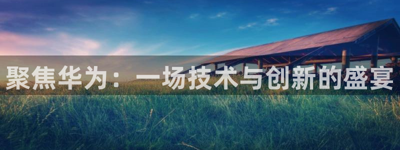 360体育直播无插件：聚焦华为：一场技术与创新的盛宴