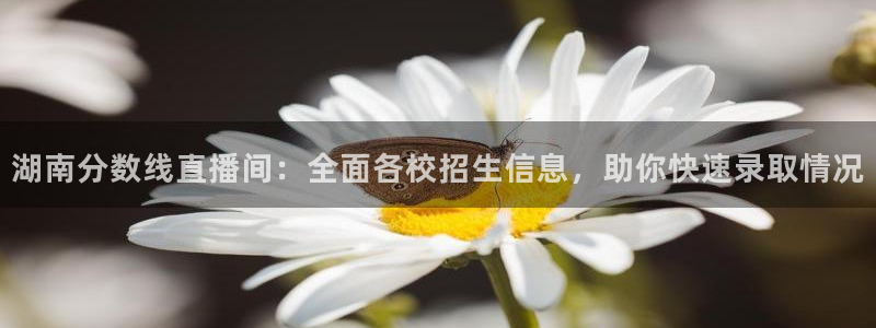 360体育直播无插件：湖南分数线直播间：全面各校招生信息，助你快速录取情况