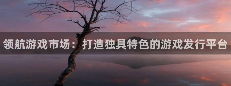 db电竞子出版社