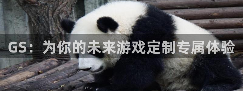 db电竞官网的奇趣腾讯是真的吗：GS：为你的未来游戏定制专属体验